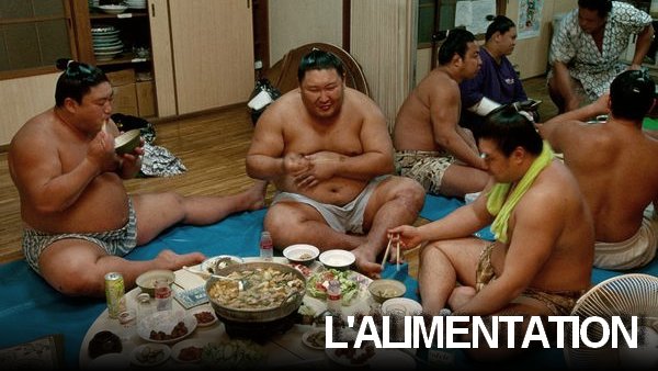 Alimentation des lutteurs de sumo