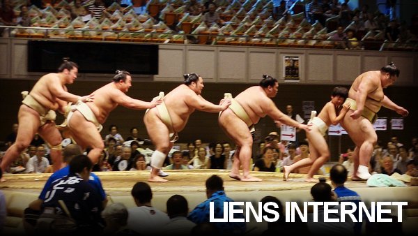 Liens sumo