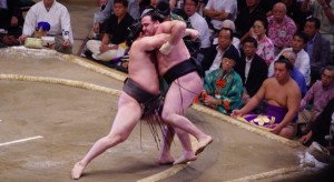 Harumafuji contre Kaisei
