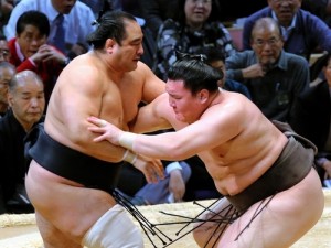Hakuhô gagne face à Aminishik