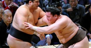 Hakuhô gagne face à Aminishik