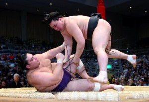 Harumafuji contre Kaisei