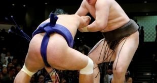 le yokozuna hakuho perd contre myogiryu
