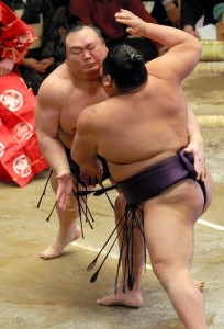 lutteurs de sumo