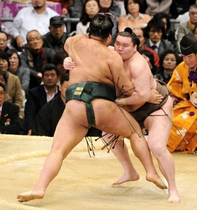 Hakuho contre Takayasu