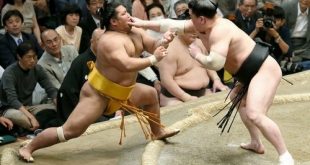 Shôhôzan contre Harumafuji
