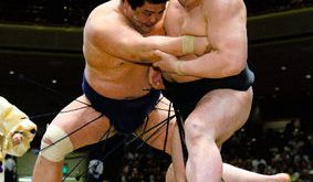 Harumafuji contre Myogiryu