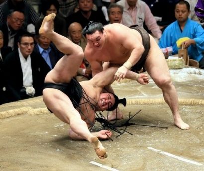 Harumafuji perd face au yokozuna Hakuhô à l'Aki basho 2013