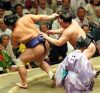 Harumafuji contre Myogiryu
