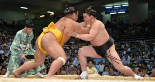 Harumafuji contre Shohozan