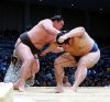 Hakuho contre Tochinowaka