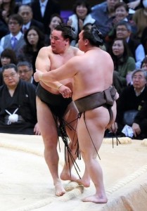 Harumafuji contre Hakuho