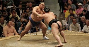 Harumafuji contre Okinoumi