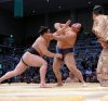 Harumafuji contre Tochinowaka