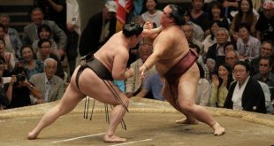 Hakuho contre Kisenosato