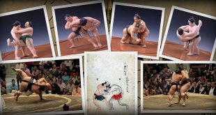 kimarite, exposition au musée du sumo