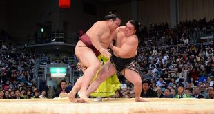 Harumafuji contre Kisenosato