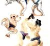 Croquis couleurs de lutteurs de sumo par Laurène Braibant