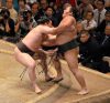 Hakuho contre Chiyotairyu
