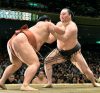 Hakuho contre Yoshikaze