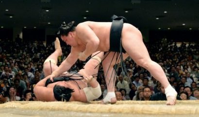 Harumafuji contre Chiyootori