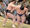 Harumafuji contre Goeido