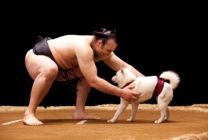 Kotooshu avec le chien dans la publicité pour Softbank