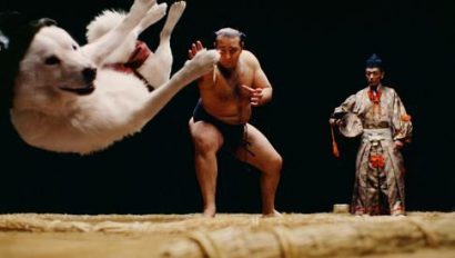 Kotooshu avec le chien dans la publicité pour Softbank