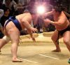 Aoiyama contre Hakuho