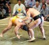 Osunaarashi contre Shohozan