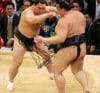 Harumafuji contre Kisenosato