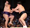 Harumafuji contre Takekaze