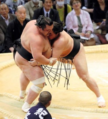 Harumafuji fait un retour en force contre Toyohibiki