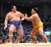 Tamawashi contre Shohozan