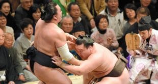 Hakuho contre Harumafuji