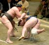 Hakuho contre Tochinoshin