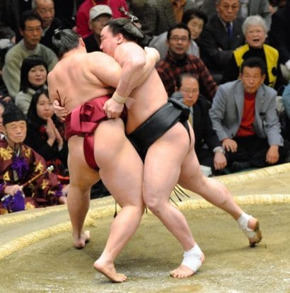 Harumafuji contre Endo