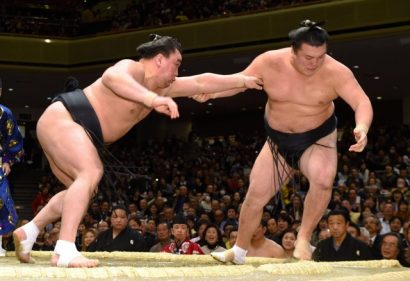 Harumafuji contre Ikioi