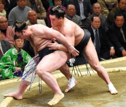 Harumafuji contre Tochinoshin