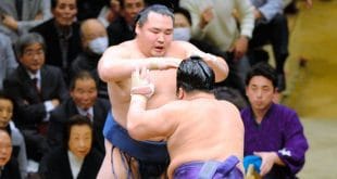 Tochiozan contre Kakuryu