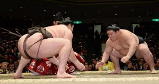 Hakuho contre Goeido