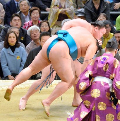 Hakuhô, Aminishiki et Terunofuji en tête du tournoi. Hakuhô bat le mongol Tamawashi