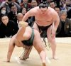 Hakuho gagne contre Takayasu