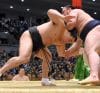 Harumafuji contre Tochinoshin