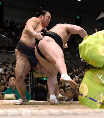 Toyonoshima contre Harumafuji