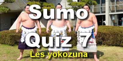 sumo quiz 7 les yokozuna