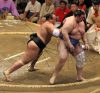 Osunaarashi contre Aoiyama