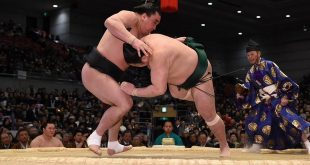 Sadanoumi contre Harumafuji