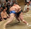 Terunofuji contre Aoiyama