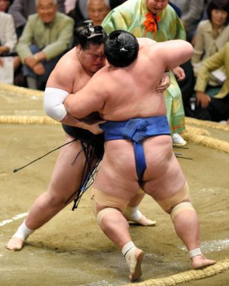 Terunofuji sort Kotoshogiku 